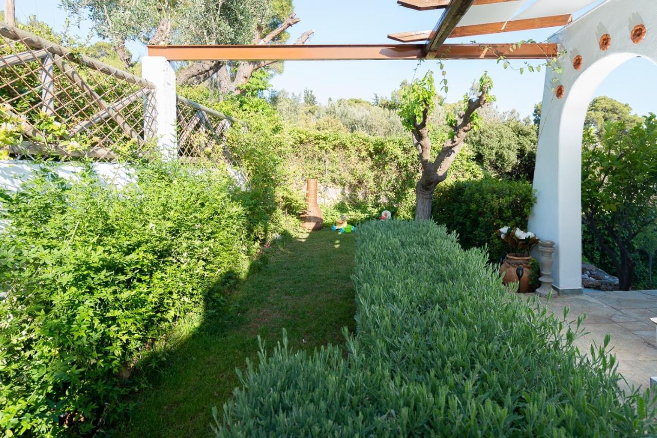 Villa Beis Pórto Ráfti المظهر الخارجي الصورة